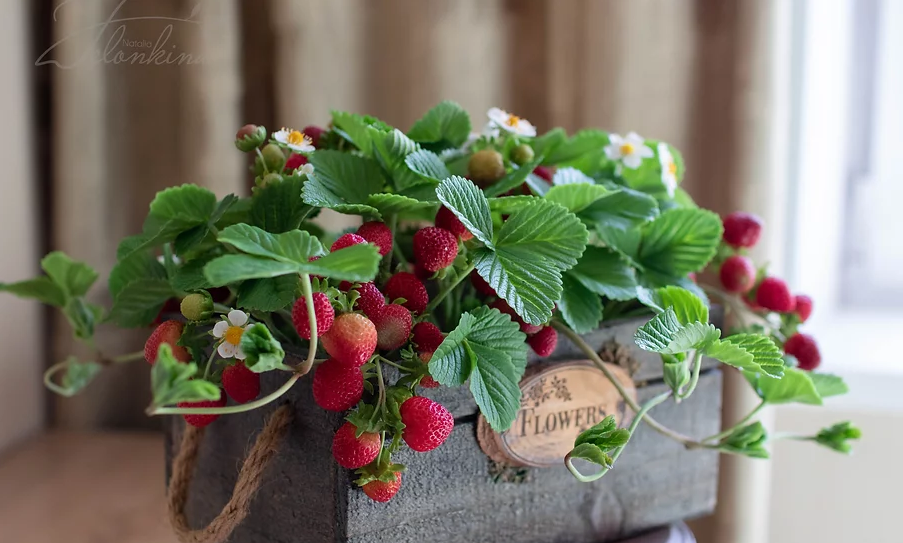 [Наталья Желонкина] Клубника из холодного фарфора _0.png